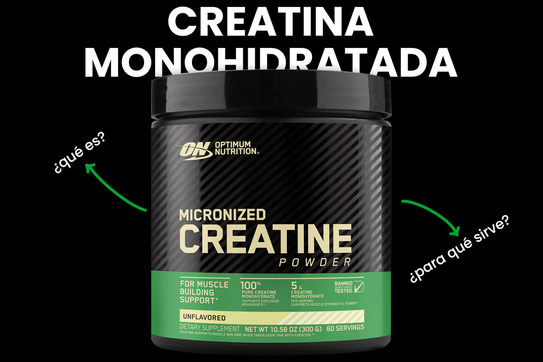 ¿Qué es la creatina monohidratada y para qué sirve?