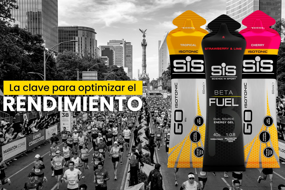 La clave para optimizar el rendimiento