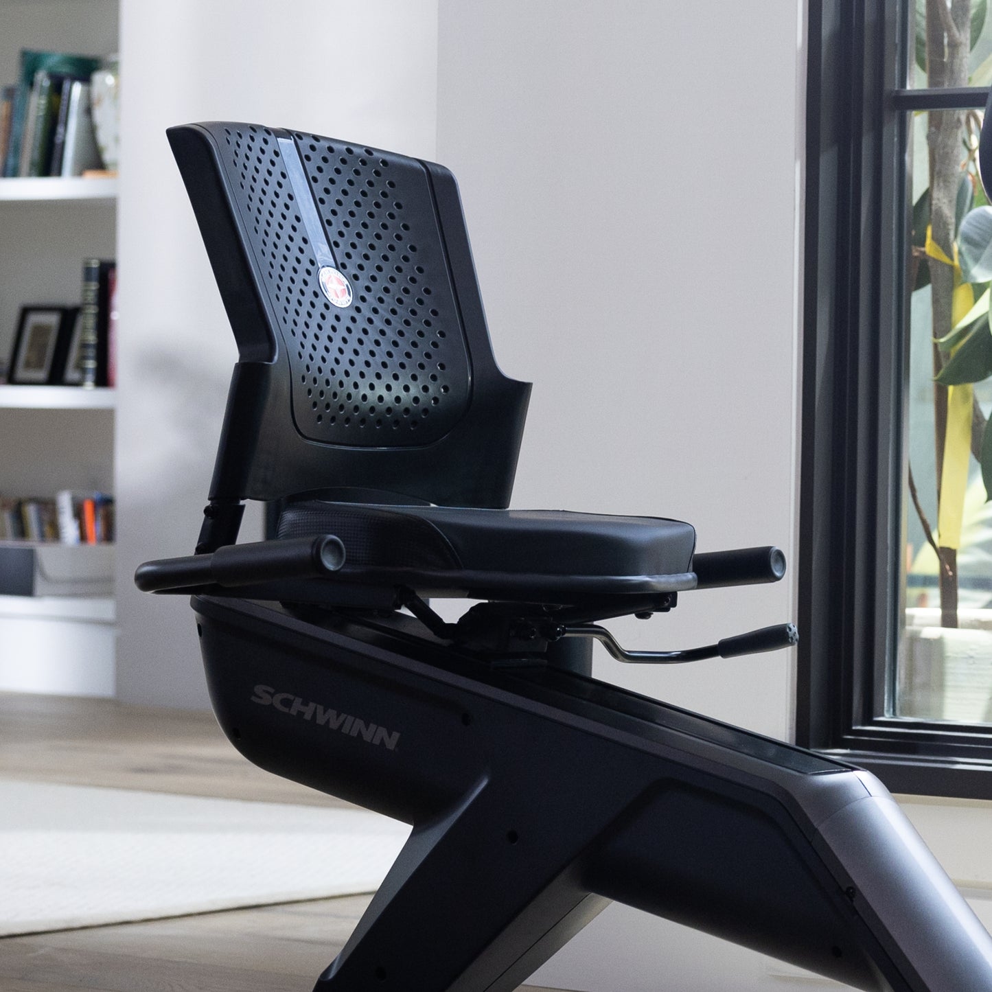 Schwinn 290 R Bicicleta Recumbente