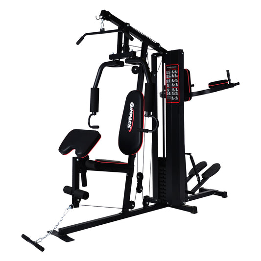 Gimpack Gimnasio de dos estaciones GP 3822