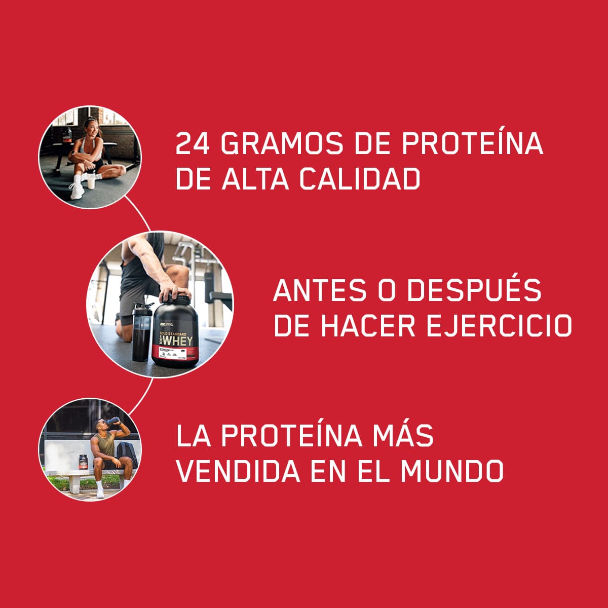 ON Gold Standard 100% Whey Sabor Chocolate blanco 5LB